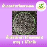 ราคา Forplants ถั่วเขียวผิวดำ ถั่วแขก ถั่วแขกพม่า บรรจุ1กิโลกรัม ถั่วเพาะงอก ถั่วแขกเพาะงอก ดัขนีการงอกสูง สำหรับ เพาะถั่วงอก (16130202901)