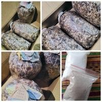 ราคา เชื้อเห็ดฟางพร้อมปลูก 1ชุด เชื้อเห็ดฟาง3ก้อน แป้ง อาหารเห็ด (23808129474)