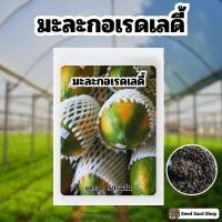 ราคา เมล็ดมะละกอเรดเลดี้ บรรจุ 50 เมล็ด เมล็ดพันธุ์ผัก เมล็ดพันธุ์พืช ปลูกผักสวนครัว ปลูกผักกินเอง (23262437312)