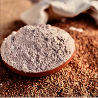 ราคา Ragi Flour Atta Nachani Atta แป้งข้าวฟ่างสามง่าม 500g (16485648213)