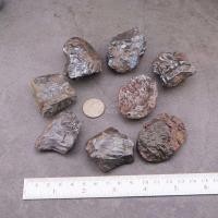 ราคา แร่เหล็กไหลงอก ไพรดำ เนื้อเงินยวง ก้อนธรรมชาติ โครตเหล็กไหลงอก เขาอึมครึม จ กาญจนบุรี (23204738635)