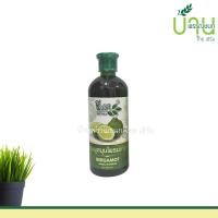 ราคา แชมพู ครีมนวด 4 สูตร มะพร้าว มะกรูด อัญชัน ตะไคร้ ชีววิถี 500 ML (11814229652)