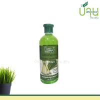 ราคา แชมพู ครีมนวด 4 สูตร มะพร้าว มะกรูด อัญชัน ตะไคร้ ชีววิถี 500 ML (11814229655)
