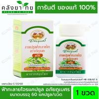 ราคา ยาแคปซูลฟ้าทะลายโจร ตราอภัยภูเบศร แก้ไข้ ขนาดบรรจุ 10 แคปซูล แผง 5 แผง 10 แผง 60 แคปซูล กระปุก ยาสามัญประจำบ้าน (13369593751)