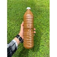 ราคา อามิ 2 ลิตร 87 บาท อามิอามิ กากผงชูรสแท้100 อาหารไรแดง ชุดเพาะน้ำเขียว น้ำเขียว สาหร่ายคลอเรล่า ไข่ไรแดง Macrocopa อามิอามิ อามิ ไรนางฟ้า ชุดทำน้ำเขียวไรแดง (24113302080)