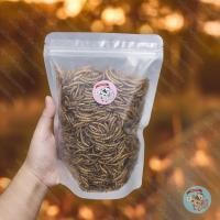 ราคา หนอนนกอบแห้ง MEALWORM หนอนนก แมลง แมลงอบแห้ง อาหารแห้ง กิ้งก่า เม่นแคระ ชูการ์ กระรอก ดอร์เมาส์ แฮมสเตอร์ เบี๊ยด นก (23925856858)