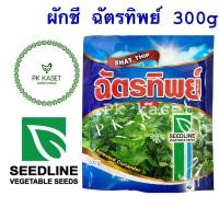 ราคา เมล็ดผักชี ฉัตรทิพย์ 300g SEEDLINE กอแน่น ใบใหญ่ กลิ่นหอม ความงอก90 ราคาส่ง (1387080469)