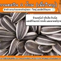 ราคา เมล็ดทานตะวัน เม็ดใหญ่ เอป้อม อาหารนก หนูแฮมเตอร์ แบ่งขาย (24561818362)