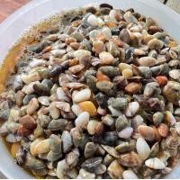 ราคา หอยเสียบดองน้ำปลา เค็ม ทานง่าย (22375817057)