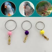 ราคา ปลอกคอนกแก้ว ปลอกคอสำหรับนกแก้ว ใช้กับโซ่นก สายจูงนก เชือกนก ฟอพัส หงษ์หยก เลิฟเบิร์ด ค๊อกคาเทล (22523329602)