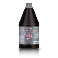 ราคา แคร์บิ้ว เฮอร์เบอร์ Carebeau แชมพู ครีมนวดผม บำรุงเส้นผม ขนาด 1000 ml 3000 ml แชมพูแคร์บิว ครีมนวดแคร์บิว กลิ่นหอมสดชื่น สินค้าพร้อมส่ง (23841851476)