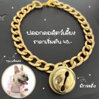 ราคา สร้อยคอหมา สร้อยคอแมว ปลอกคอสุนัข โซ่คอ ปลอกคอหมา เส้นแบนสีทองอ่อน (15959589951)