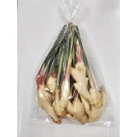 ราคา ขิงอ่อน สด สะอาด รับประกันคุณภาพ (14978479302)