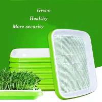 ราคา ถาดเพาะต้นอ่อนไร้ดิน ถาดเพาะ ปลูกทานตะวัน ถั่วงอก ไม่มีดินก็สามารถปลูกผักได้ ถาดปลูก (21398667629)