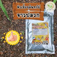 ราคา จุลินทรีย์จาวปลวก แบบผง หัวเชื้อ ขนาด 500 กรัม ค่าส่งถูกกว่า (22594359419)