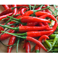 ราคา พริกสด พริกชี้ฟ้า พริกแดง 500 กรัม เก็บสด ใหม่ จัดส่งทุกวัน (23812804956)