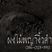 ราคา ผงไม้พญางิ้วดำ ไม้พญางิ้วดำ ว่านพญางิ้วดำ ขนาด 100 กรัม (14357512838)