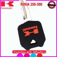 ราคา ปลอกกุญแจรถมอเตอร์ไซต์คาวาซากิ Kawasaki Ninja 250 300 เคสซิลิโคนหุ้มกุญแจกันรอย ซองใส่กุญแจรถมอเตอร์ไซต์กันกระแทก ยางหนานุ่ม สีดำ แดง เขียว (7881252658)