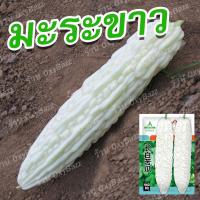 ราคา เมล็ดมะระขาว เมล็ดพันธุ์มะระจีนขาว 10เมล็ด White Bitter Gourd Seeds (8638070336)
