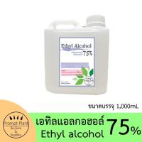 ราคา เอทิลแอลกอฮอล 75 75 Ethanol ขนาดบรรจุ 1000 มล (17411829648)