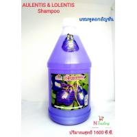 ราคา แชมพู ออเลนติสและลอเลนติสแชมพูแฮร์สปา AULENTIS LOLENTIS Hair Spa Shampoo ปริมาณสุทธิ 1600 ซี ซี (3308230195)