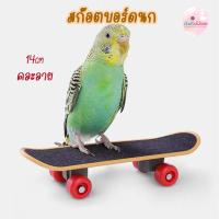 ราคา สเก็ตบอร์ดนก ของเล่นนก สเก็ตบอร์ดจิ๋ว mini ฟอพัส หงษ์หยก แก้ว Bird (20411430637)