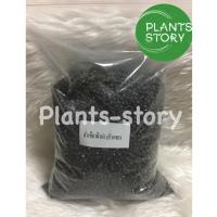 ราคา ถั่วเขียวผิวดำ ถั่วแขก 1 กิโลกรัม สำหรับ เพาะถั่วงอก (1785480657)