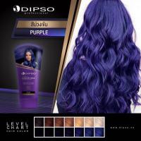 ราคา dipso color wax ครีมเปลี่ยนสีผม ขนาด150ml (17795142745)