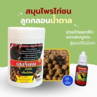 ราคา สมุนไพรลูกกลอนเลี้ยงไก่ชน25เม็ดแดง คึก แถมฟรีทองแดงบำรุงกำลังไก่ชน ขนาด10ml (24328678954)