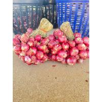 ราคา 1 กิโล หอมแดงมัดจุก หอมแดงศรีสะเกษแท้ (24007595225)