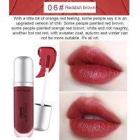 ราคา NOVO Cream Ice Cream Lip Glaze Matte Velvet Lipstick Plain Color Waterproof Moisturizing Cream Liquid Lip Tint Long Lasting (22930174309)