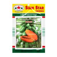 ราคา เมล็ดพันธุ์ มะละกอฮอลแลนด์ คัดพิเศษ พันธุ์สามดาว ซองใหญ่ บรรจุ 1 กรัม อายุพันธุ์ 7 65 (22312244544)