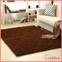 ราคา Golden พรมขนยาว ฟูฟู ขนนุ่ม พรมตกแต่งบ้าน พรมปูพื้นห้องรับแขก carpet (12615935643)