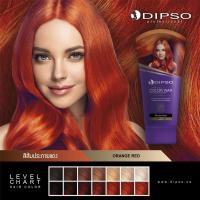 ราคา แว๊กซ์สีผม ดิ๊พโซ่ ซุปเปอร์ ชายน์ แฮร์ คัลเลอร์ แว๊กซ์ 150 มล DIPSO Super Shine Hair Color Wax 150 ml (23831757671)