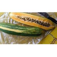 ราคา เมล็ดมะละกอด่างสายพันธุ์แขกดำ20เมล็ด (24516387208)