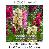 ราคา เมล็ดพันธุ์ฮอลลี่ฮ็อค คละสี 420 เมล็ด ฮอลลี่ฮ็อค ดอกซ้อน ฮอลลี่ฮ็อค แคระ HollyHock Mix (17392317156)