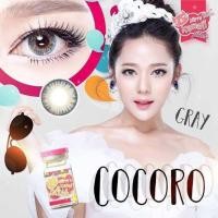 ราคา คอนแทคเลนส์ รุ่น Cocoro สีเทา ตาล gray brown มีค่าสายตาปกติ 0 00 (20566775041)