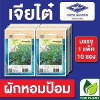 ราคา ผักซองเจียไต๋ ผักหอมป้อม บรรจุแพ็คล่ะ 10 ซอง ราคา 75 บาท (24625272285)