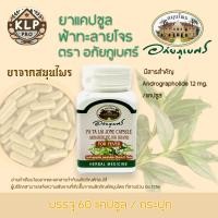 ราคา ยาแคปซูลฟ้าทะลายโจร ตราอภัยภูเบศร์ กระปุกบรรจุ 60แคปซูล (23226502794)