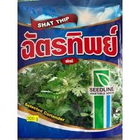 ราคา ผักชี ฉัตรทิพย์ (23911083871)