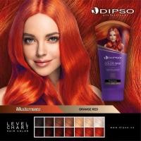 ราคา ดิ๊พโซ่ ซุปเปอร์ซายน์ แฮร์คัลเลอร์ แว๊กซ์ DIPSO Super shine hair color wax น้ำยาเปลี่ยนสีผม ผลิตภัณฑ์เปลี่ยนสีผม ขนาด 150 ml พร้อมส่ง (22689364911)