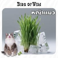 ราคา Bite of Wild ฟรีซดรายแมว ตับไก่ เนื้อสด หญ้าแมวไข่ไก่ อาหารแมว เลี้ยง Cat snacks 40 กรัม (23041532820)