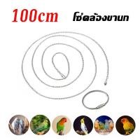 ราคา โซ่คล้องห่วงขานกแก้ว 100cm โซ่ขานกสแตนเลส ห่วงเปิดนก พร้อมห่วงล็อค สายเกาะคอนนกแก้ว ฟอพัส เลิฟเบิร์ด ซันคอนัวร์ (23226448739)