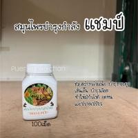 ราคา สมุนไพรบำรุงกำลังไก่ชน แชมป์ สร้างกล้ามเนื้อบำรุงกระดูกให้มีกำลังดี (21258773654)