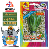 ราคา ขายปลีก เมล็ดพันธุ์ ผัก แพ็ค5ซอง ตราม้ารุ้ง Z028 ผักชีฝรั่ง เมล็ดพันธุ์ เมล็ดผัก ผักซอง ม้ารุ้ง ผักสวนครัว (24515894389)