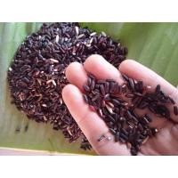 ราคา ข้าวเหนียวดำ ข้าวลืมผัว ข้าวก่ำ น้ำหนัก1 กิโล ราคา (12466900638)