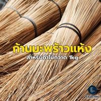 ราคา ก้านมะพร้าวแห้ง มัดละ 900g ยาว 120 135cm ก้านทำไม้กวาดทางมะพร้าว อะไหล่ทำไม้กวาด ก้านไม้กวาด (23871870219)