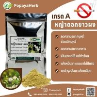 ราคา หญ้าดอกขาวผง 100 กรัม มีส่วนช่วยในการเลิกสารเสพติด หญ้าดอกขาว100 (17999282764)
