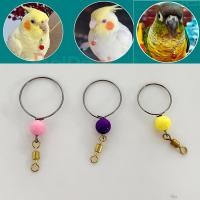 ราคา ปลอกคอนกแก้ว ปลอกคอสำหรับนกแก้ว ใช้กับโซ่นก สายจูงนก เชือกนก ฟอพัส หงษ์หยก เลิฟเบิร์ด ค๊อกคาเทล (22523329601)