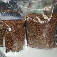 ราคา Mealworms หนอนอบแห้ง 150 กรัม ชูการ์นกเม่นแคระปลาหนูแฮมเตอร์ ฯลฯ (19205543856)
